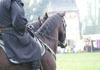 Tag der offenen Tür am AWO-Lernbauernhof in Duisburg (Ingenhammshof) 01.07.2017